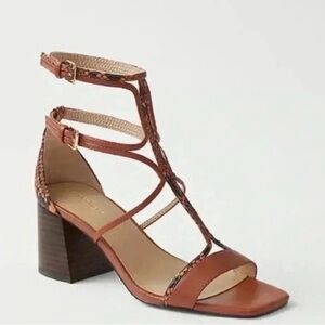 Ann Taylor Neveah Snake Print Trim Block Heel Leather Brown Sandals Size  7